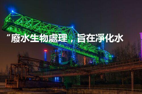 “廢水生物處理，旨在凈化水源，守護碧水藍(lán)天”